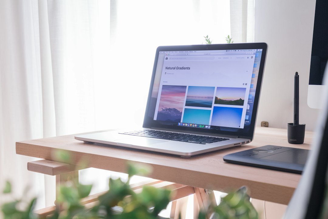 How to Build a Web Design Portfolio as a Beginner in Pakistan
